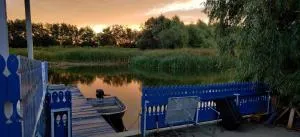 Wild Carp - 杜纳厄图德乔斯