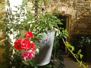 Sejours chez l'habitant Guesthouse de Cambis B&B : photos des chambres