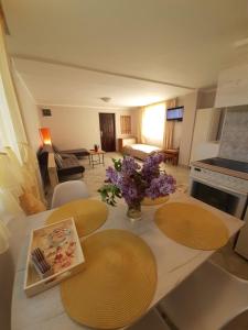 Apartman Cherry Gradac Valjevo