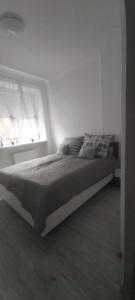 apartament u Eli