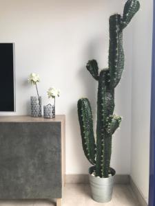 Mojacar Espectaculares Vistas al Mar