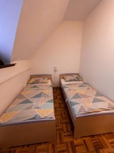 Mad House Apartment 1, Terme Čatež