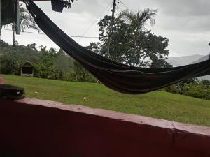 Finca cafetera el coral 2