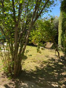 "A Deux Pas de la Montagnette", mazet provencal 4 personnes