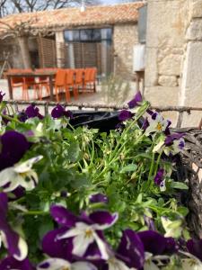 Maisons de vacances Les fontanelles du quercy blanc : photos des chambres
