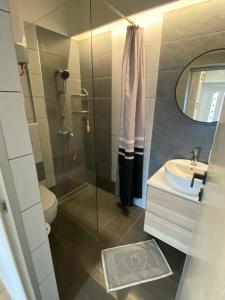 Apartman Hana Crikvenica 
