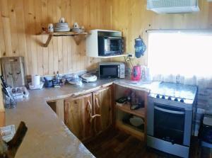 Bajo la Cruz del Sur - Conguillio