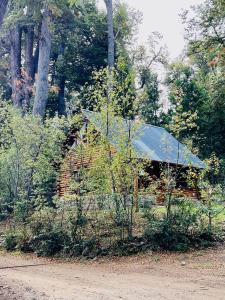 Cabaña en la costa del Lago Futalaufquen - Parque Nacional Los Alerces