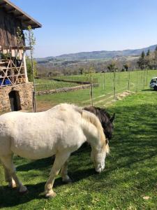 Sejours a la campagne Le Pre des Taupes : photos des chambres