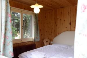 Chalet Speciale - Celerina