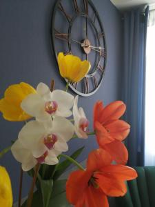 Filsdeger Ház - Central Rooms & Apartmans