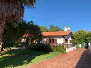 A Quinta Duna - Tornada