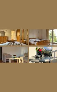 Apartments and Room MV