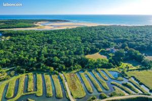 Appartements Charmant T2 au coeur du golf de port Bourgenay : photos des chambres