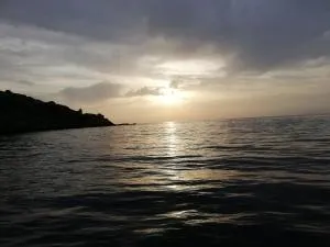 Apanemia 2 - Tálanda