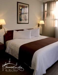 SANTA CECILIA LA MORA HUASCA