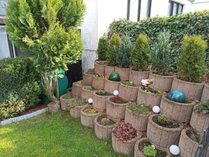 Ferienwohnung Löwenzahn