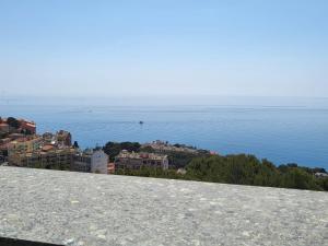 Appartements Cap Monaco : photos des chambres