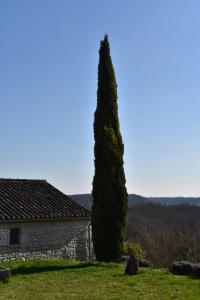 Maisons de vacances Les Collines du Quercy Blanc : photos des chambres