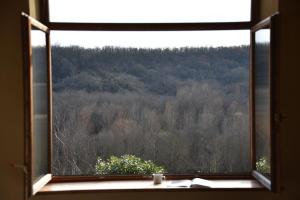 Maisons de vacances Les Collines du Quercy Blanc : photos des chambres