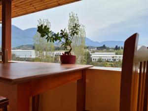 Bar Kafe Pjetri Guest House