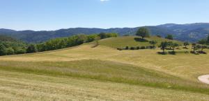 Hotels Hotel Deybach : photos des chambres