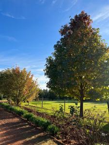 White Linen Guesthouse