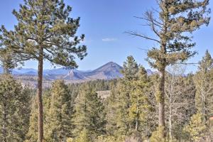 Woodland Park Home w Mountain Views By ATV Trails