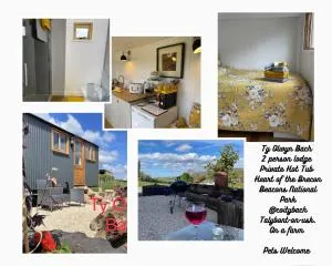 Ty Olwyn Bach, Coity Bach - Scethrog