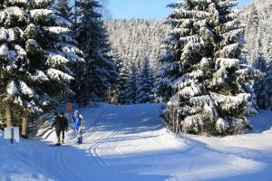 Chalets CHALET VERT : photos des chambres