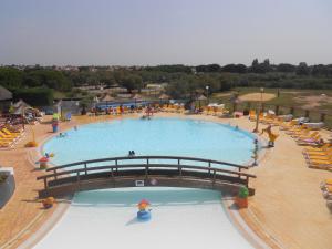 Campings NEW Jungle Lake - Clim - WIFI - Draps & serviettes - BBQ - 10' des plages : photos des chambres