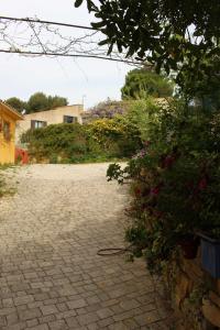 Appartements Bel Air -les Restanques : photos des chambres