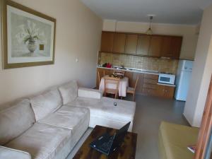 Almini Apartments Epirus Greece