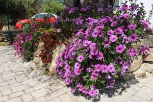 Appartements Bel Air -les Restanques : photos des chambres