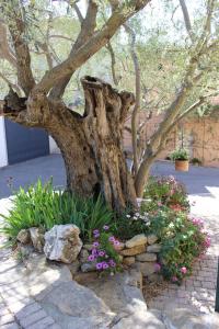 Appartements Bel Air -les Restanques : photos des chambres