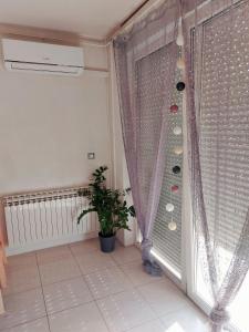 Studio Concept Apartment 