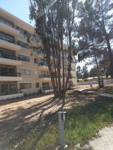 Hermoso Dpto entre bosque y piscina.