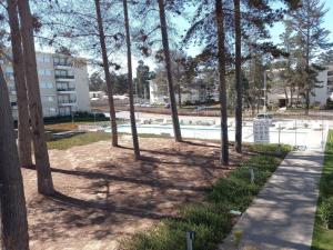 Hermoso Dpto entre bosque y piscina.