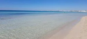 Fuffy's House Salento - Salice Salentino