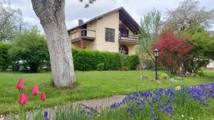 Saint Nicolas Bajina Bašta - Lug