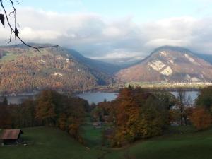 Lake View Darligen Interlaken