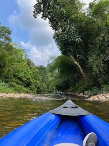 Billion Views Khaosok Homestay