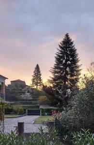 Maisons de vacances Vakantiehuis & Gite Reve sous le Ciel : photos des chambres