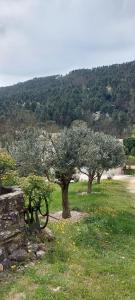 Maisons de vacances Vakantiehuis & Gite Reve sous le Ciel : photos des chambres