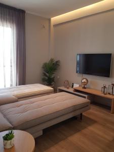 Elegant House With Acropolis View