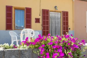 Ca Na Velutina - Can Picafort