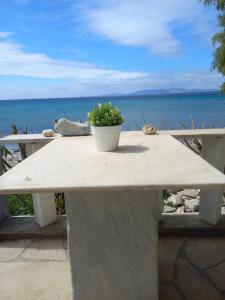 Sea front Roses house