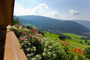 Wargerhof - Urlaub auf dem Bauernhof
