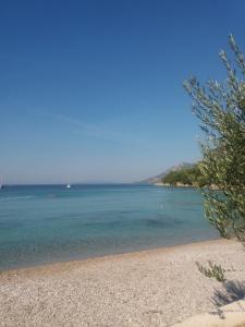 Apartment Jon Zuljana