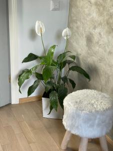 Renthouse Guest Apartment ADEELE